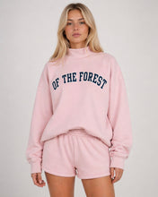 Load image into Gallery viewer, Mock Neck Set Pink
