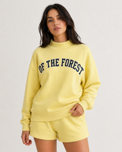 Load image into Gallery viewer, Mock Neck Set Yellow
